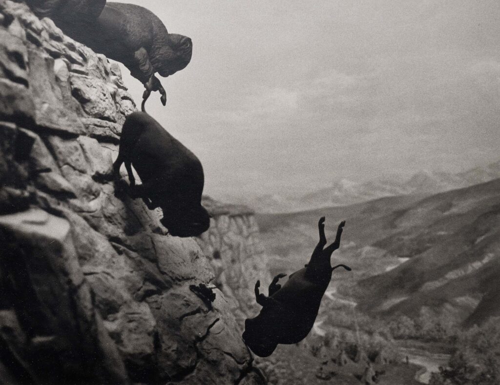 David Wojnarowicz Falling Buffalos